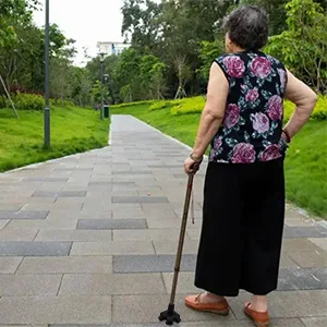 XSL Cane Tips - 34 Inch Replacement - Heavy Duty Rubbers Self Standing 6 Support Feets Base Replacement Walking Canes Walking Sticks Folding Canes - 6 Prong Rubber Cane Foot Pad (Black) - main image 8