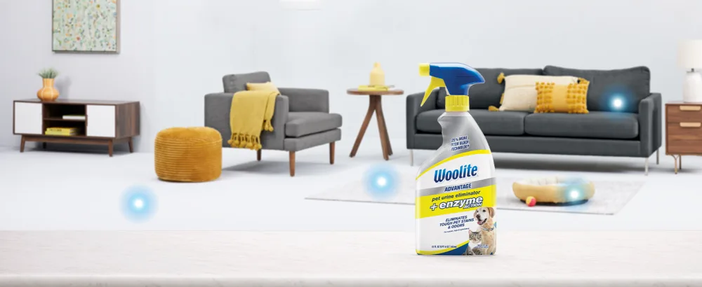 Woolite Advantage Pet Urine Eliminator 44 Fl Oz Pack of 2 - multisurface cleaning