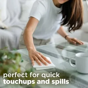 Windex Dissolve Concentrated Pods Multisurface Cleaner 3 Concentrated Dissolvable Refill Pods Refills - quick touchups and spills