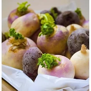Ziyad Premium Arabic Pickled Turnips 100 Authentic Middle Eastern Recipe Non Perishable Vegan Vegetarian 21 oz 1.31 Pound (Pack of 1) - fresh turnips