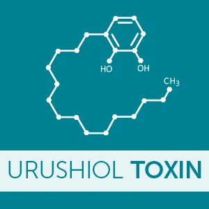 ZANFEL - Poison Ivy Oak  Sumac Wash: Topical Solution for Poison Ivy Poison Oak and Sumac - Urushiol Molecule