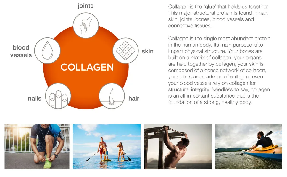 Youtheory Mens Collagen Advanced with Biotin 290 Count (1 Bottle) 290 Count (Pack of 1) - skin breast elastin vitamin c booster casing gelatin hydrolysate hair loss nail growth health vitami