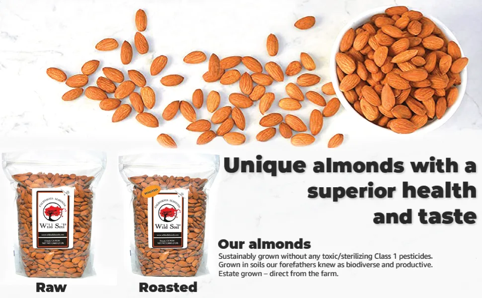 Wild Soil Beyond Almonds  20 Higher Protein Than Other Almonds Distinct and Superior to Organic Raw 3 Pound (Pack of 1) - bulk pounds organic raw wild soil almond sprouted whole natural nuts unsalted probiotics organic
