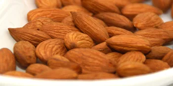Wild Soil Beyond Almonds  20 Higher Protein Than Other Almonds Distinct and Superior to Organic Raw 3 Pound (Pack of 1) - bulk pounds organic raw wild soil almond sprouted whole natural nuts unsalted probiotics organic
