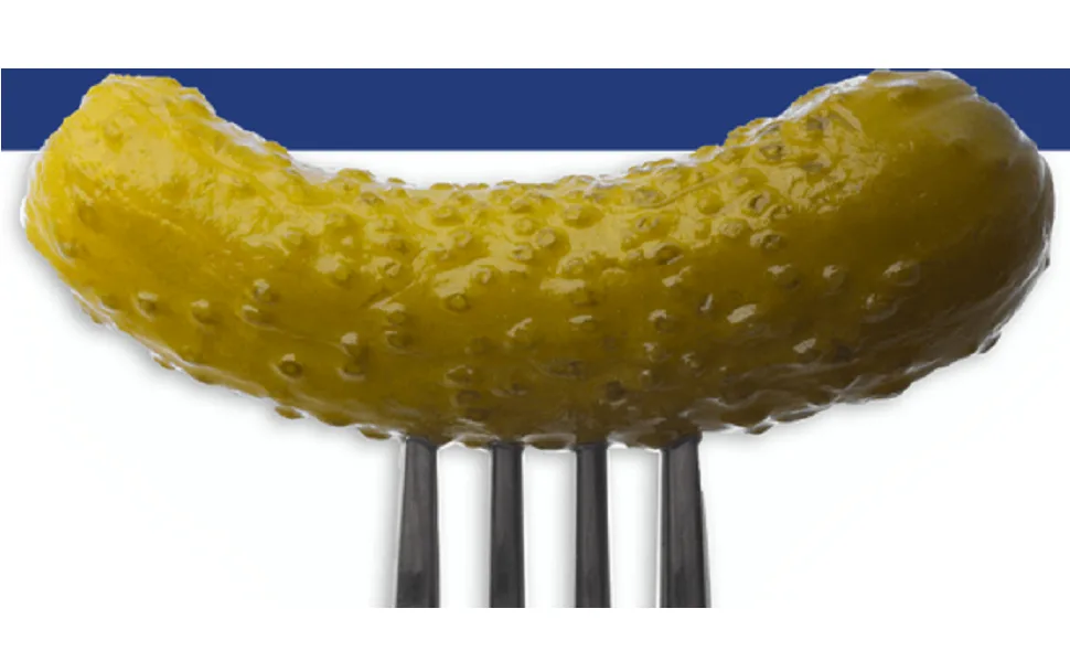 Vlasic Stackers Bread and Butter Pickles 16 FL oz - product information 2