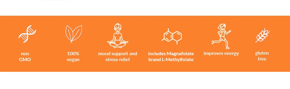 Vitamin B Complex  5-MTHF Folate with B1 B2 B5 B6 Methyl B12 Niacin Biotin  Wide Range of Benefits for Stress Heart Health Nervous System Support Healthy Brain Function - product information 15