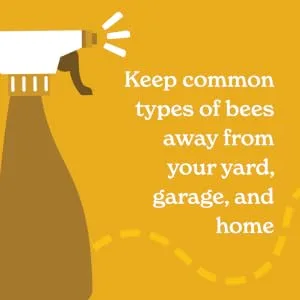 Vine Homecare Bee Control Spray  32 Ounce  Repels Most Common Types of Bees  Natural Non-Toxic Formula  Quick Easy Pest Control  Safe Around Kids  Pets - Keep bees away from your attic, garage, basement, lawn, and more