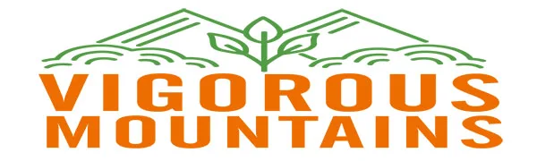 VIGOROUS MOUNTAINS Highest Grade Dried Porcini Mushrooms Boletus Edulis 2.5 Ounce - product information 1