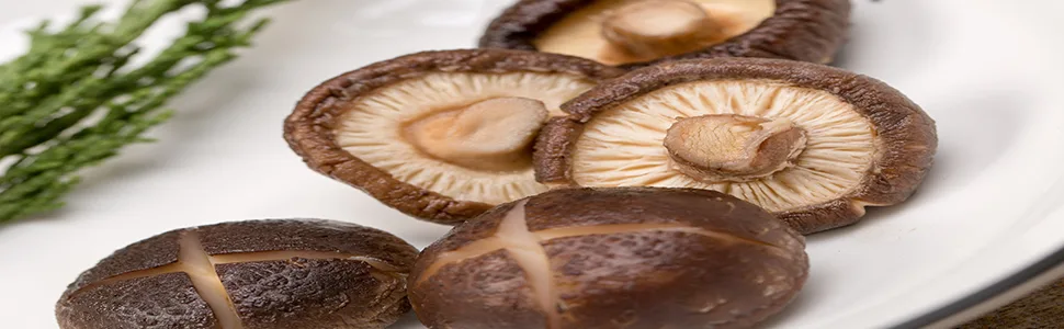 VIGOROUS MOUNTAINS Dried Shiitake Mushrooms 1.5 Ounce Shitake Mushroom - Background