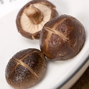 VIGOROUS MOUNTAINS Dried Shiitake Mushrooms 1.5 Ounce Shitake Mushroom - LOOK