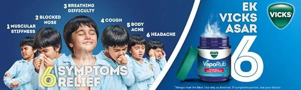 Vicks Vaporub 110ml Maha Saver Pack - Brand