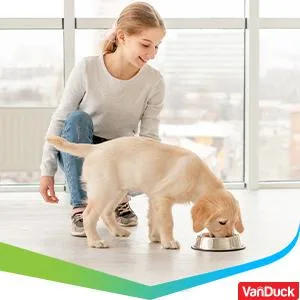 VanDuck Microfiber Cleaning Pads Compatible with Bona Mop (3 Pack) - Microfiber Mop Pads for Hardwood Floor for 18 Inch Mop Blue 3 Count (Pack of 1) - safe for pets