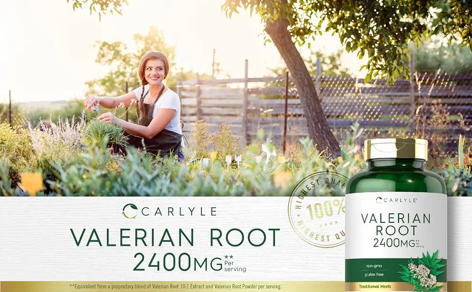 Valerian Root Capsules  240 Pills  High Potency  Non-GMO Gluten Free  Herb Extract Supplement  by Carlyle - valerian root