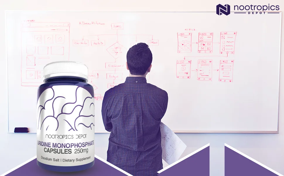 Uridine Monophosphate Capsules  Disodium Salt (60 Count)  Nootropics Depot  Cognitive Enhancer  Nootropic  Choline Precursor 60 Count (Pack of 1) - uridine monophosphate, uridine, ump, triacetyluridine, uridine supplement, uridine nootropic