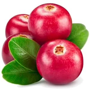 Uricalm Cranberry Daily Dietary Supplement Chewable with D-Mannose Berry 60 Count - Image of cranberries