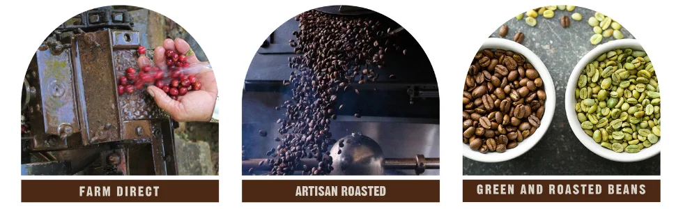 Unleashed Coffee 2LB Peaberry Coffee Unroasted Green Single Origin Specialty Grade Premium Arabica Mini Me 2 Pound (Pack of 1) Mini me - Features