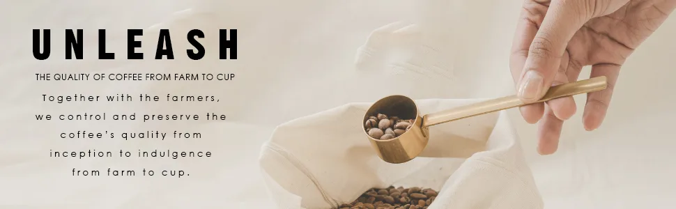 Unleashed Coffee 2LB Peaberry Coffee Unroasted Green Single Origin Specialty Grade Premium Arabica Mini Me 2 Pound (Pack of 1) Mini me - Unleash
