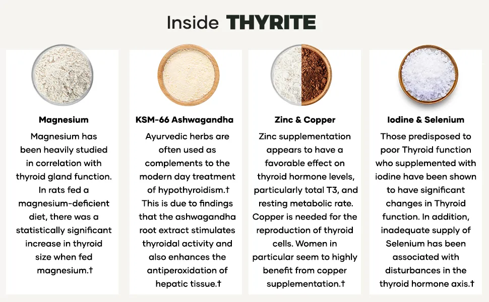 UMZU Thyrite  Advanced Thyroid Supplement to Support Healthy Thyroid Function with Magnesium Ashwagandha Zinc Copper Iodine  Selenium  30 Servings - inside thyrite