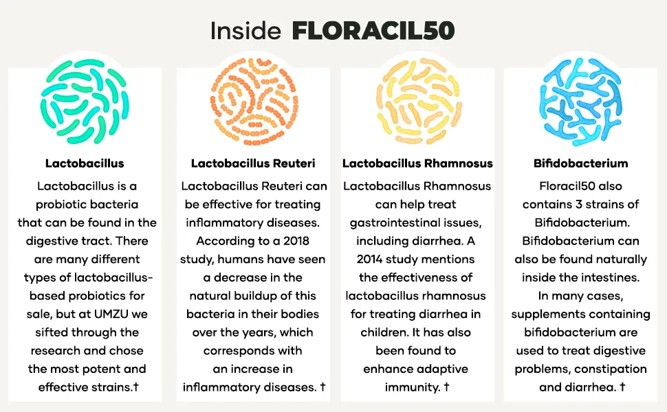 UMZU Floracil50 - Daily Probiotic Supplement - Contains 8 Gut Healthy Bacteria Strains - 1 Month Supply - Inside FLORACIL50