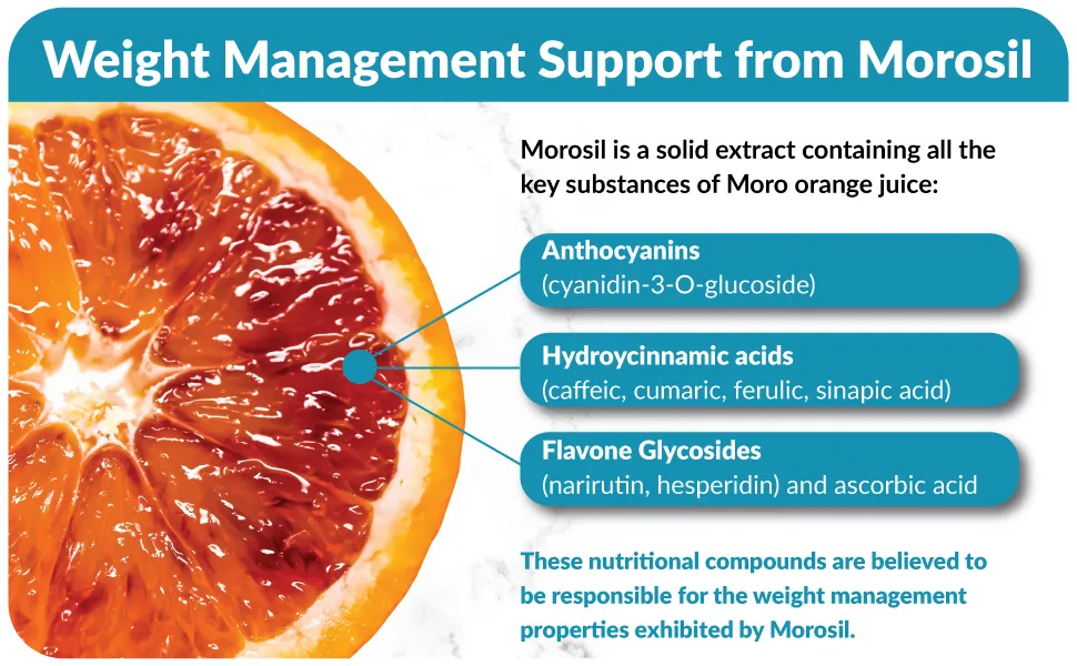 True-Slim 400mg Morosil Weight and Fat Loss Supplement Helps Reduce Fat Accumulation 1 - oranges