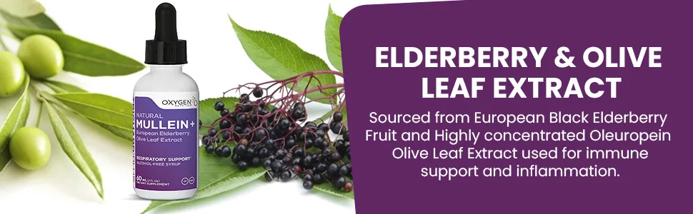 TriGuard Mullein Plus - Mullein Leaf Extract Elderberry Extract  Olive Leaf Extract 2 fl oz  Supports Healthy Respiratory Function  Immune System  Alcohol-Free Non-GMO  Tastes Great - Elderberry & Olive leaf for immune support