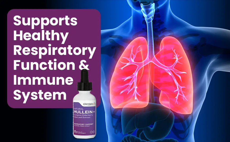 TriGuard Mullein Plus - Mullein Leaf Extract Elderberry Extract  Olive Leaf Extract 2 fl oz  Supports Healthy Respiratory Function  Immune System  Alcohol-Free Non-GMO  Tastes Great - Lung cleanse, respiratory support