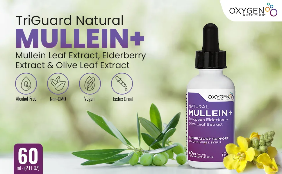 TriGuard Mullein Plus - Mullein Leaf Extract Elderberry Extract  Olive Leaf Extract 2 fl oz  Supports Healthy Respiratory Function  Immune System  Alcohol-Free Non-GMO  Tastes Great - Mullein leaf extract elderberry extract olive leaf exstract