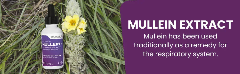 TriGuard Mullein Plus - Mullein Leaf Extract Elderberry Extract  Olive Leaf Extract 2 fl oz  Supports Healthy Respiratory Function  Immune System  Alcohol-Free Non-GMO  Tastes Great - Traditional remedy for your lungs