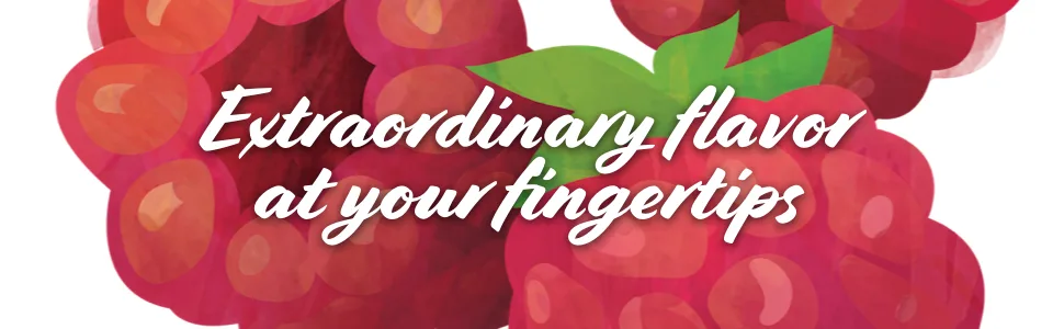 Torani Syrup Carmel - torani syrups extraordinary flavor at your fingertips in white font on red raspberry drawing