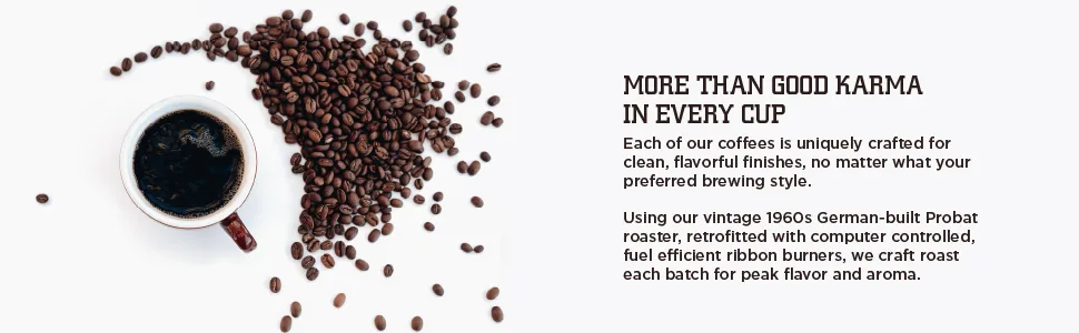 Tiny Footprint Coffee USDA Organic Cold Brew  Press Elixir Ground Coffee Carbon Negative 16 Ounce Ground 1 Pound (Pack of 1) - Tiny Footprint Coffee - Organic Cold Brew Cold Press Elixir