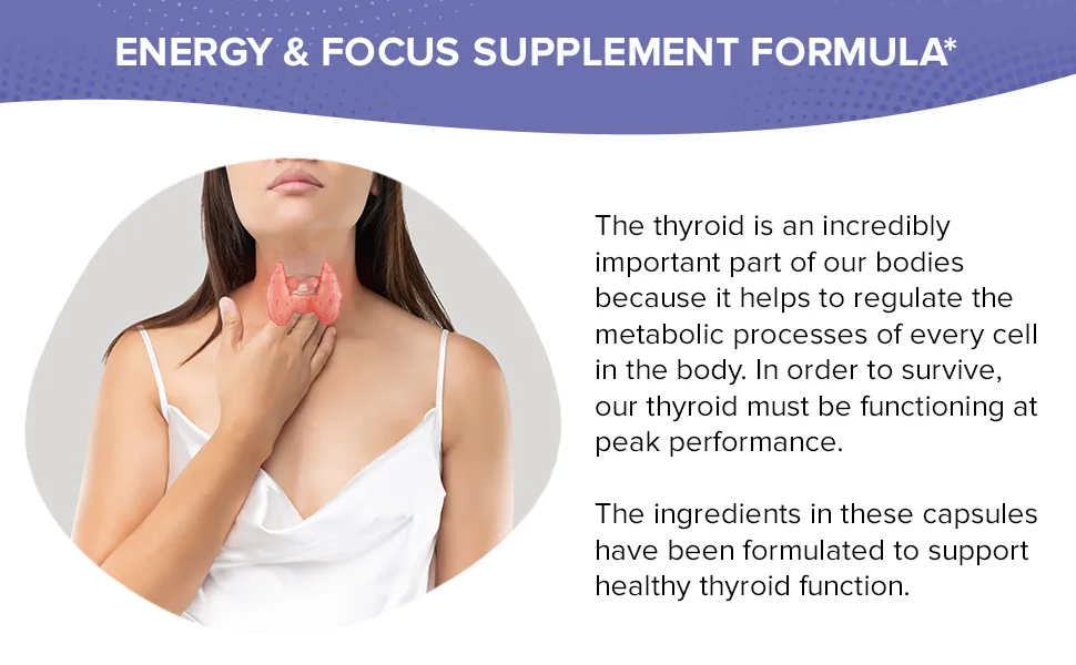 Thyroid Support Complex with Iodine and BioPerine - 120 Capsules - Energy  Focus Supplement Formula for Women and Men Boosts Brain Function  Metabolism Concentration - Pills with B12 Ashwagandha - women complex pills multivitamins drive pastillas ring herbal smooth works thrive coconut essential