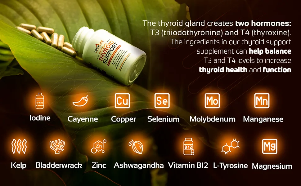 Thyroid Support Complex Supplement - Thyroid Support for Women and Men - Boost Energy Focus Metabolism - Iodine Supplements for Thyroid  B12 Selenium Zinc Copper Ashwagandha L-Tyrosine  More - Thyroid Support Ingredients
