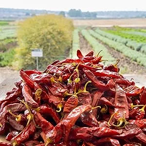 The Spice Way Star Anise - whole ( 3 oz ) great for baking and tea - growing spices