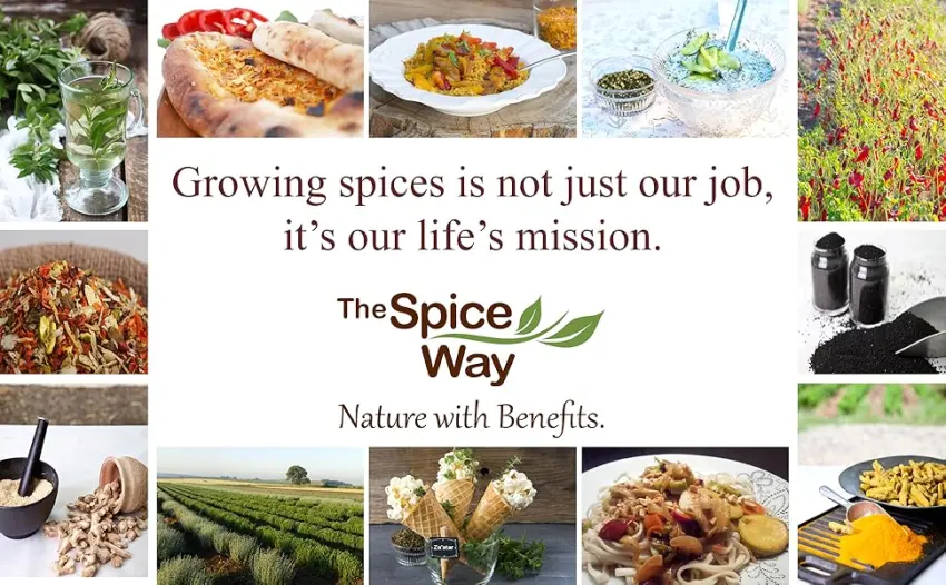 The Spice Way Dill Weed - seeds for pickling vegetables pasta salads and soups. 3 oz - growing spices