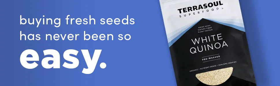 Terrasoul Superfoods Organic White Quinoa 6 Lbs - Pre-washed  Gluten-free  Plant Protein - Quinoa