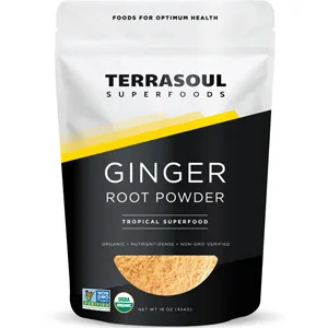 Terrasoul Superfoods Organic Ginger Powder 1 Lb - Lab-Tested  Raw  Potent Spicy Flavor - Ginger root