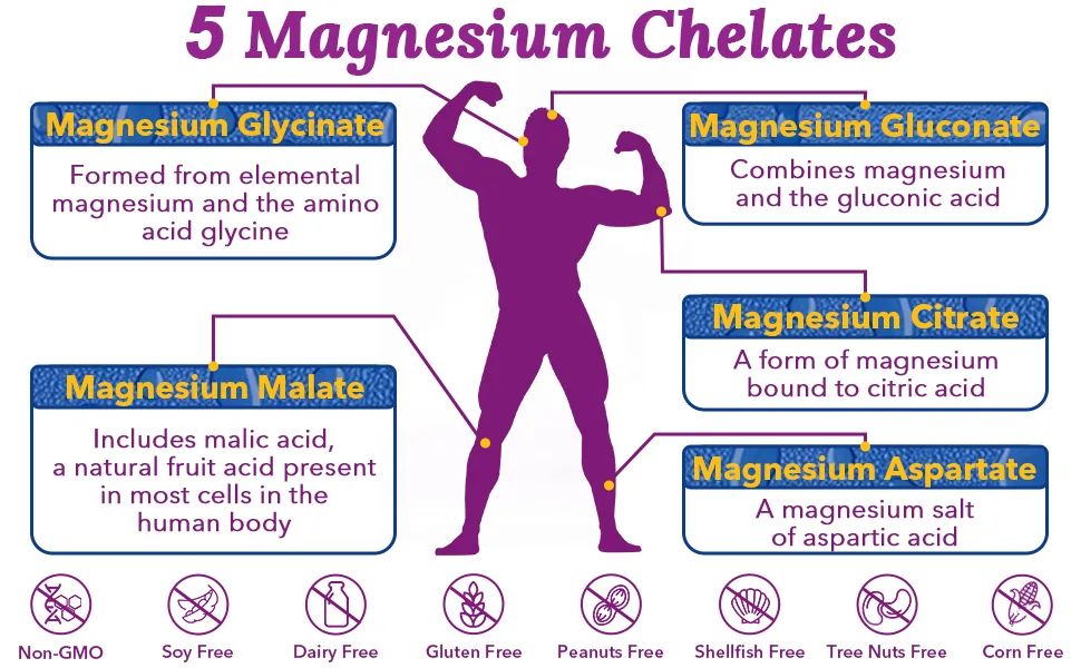 Terranics Magnesium Complex 500mg 120 Veg Capsules Chelated for Max Absorption Support Heart Mood Sleep Muscle Health - Magnesium Glycinate, Magnesium Citrate, Magnesium Malate, Magnesium Aspartate, Magnesium Gluconate