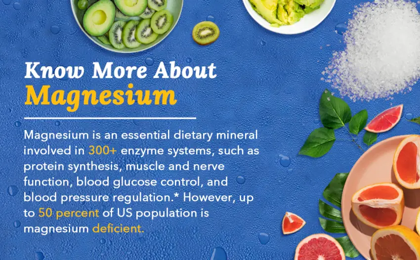 Terranics Magnesium Complex 500mg 120 Veg Capsules Chelated for Max Absorption Support Heart Mood Sleep Muscle Health - Terranics Magnesium Complex helps muscle and nerve function, blood pressure health*