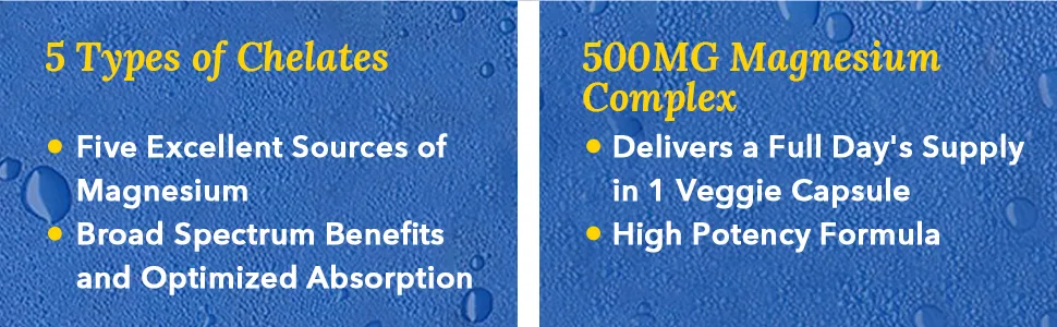 Terranics Magnesium Complex 500mg 120 Veg Capsules Chelated for Max Absorption Support Heart Mood Sleep Muscle Health - Terranics Magnesium Complex packs 5 types of chelates and 500 mg magnesium.