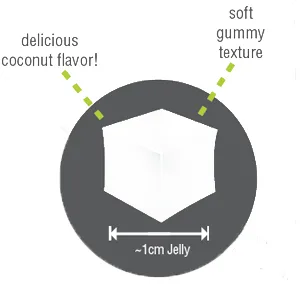 TEA ZONE 8.8 lbs Lychee Coconut Jelly - tea zone lychee coconut jelly