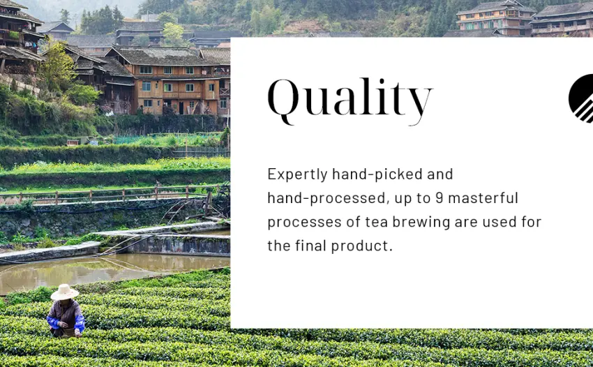 Tea Canyon Loose Leaf - Oolong Tea - Chinese Tea - Da Hong Pao Tea with Tin Container - quality