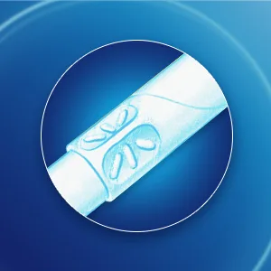Tampax Tampons Regular Absorbency Cardboard Applicator Leakgaurd Skirt Unscented 40 Count - Tampax Cardboard Controlled Insertion