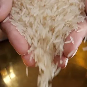 TAJ Premium 1121 Basmati Rice Extremely Long Grain 10-Pounds - Uncooked Basmati Rice