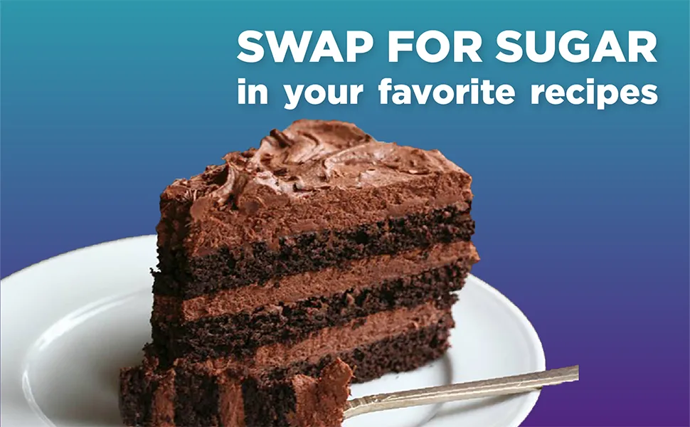Swerve Sweetener Granular and Confectioners Baker's Bundle - Sugar Substitute, Zero Calorie, Keto Friendly, Zero Sugar, Non-Glycemic, 12oz (2 Pack) Bakers Bundle 12 Ounce (Pack of 2) - cake