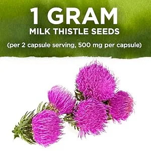 Swanson Milk Thistle-Herbal Liver Support Supplement-Natural Formula Helping to Maintain Overall Health & Wellbeing-(100 Capsules, 500mg Each) - Swanson Milk Thistle Dosage