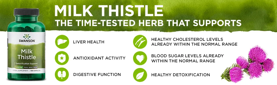Swanson Milk Thistle-Herbal Liver Support Supplement-Natural Formula Helping to Maintain Overall Health & Wellbeing-(100 Capsules, 500mg Each) - Swanson Milk Thistle Features & Benefits