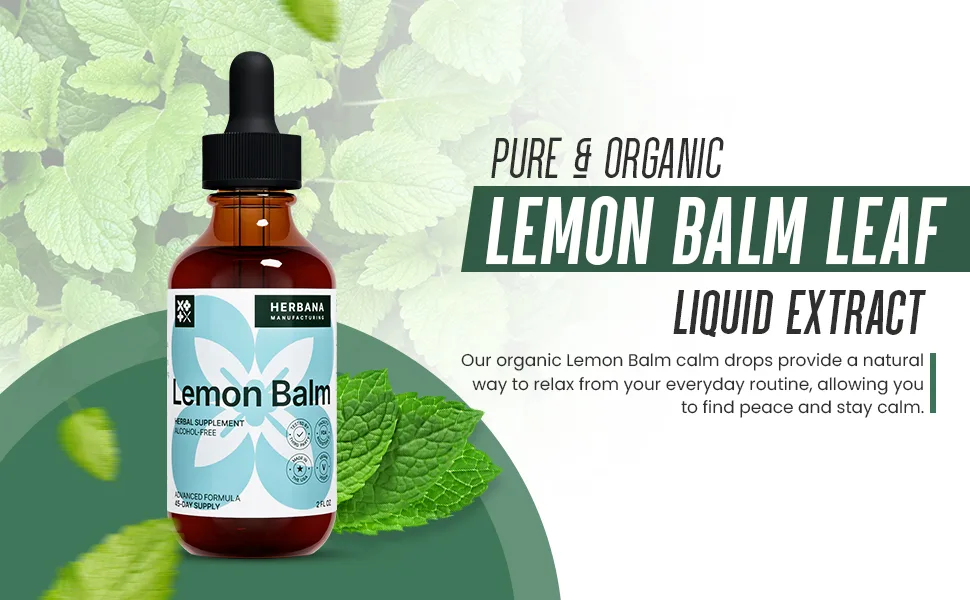 Lemon Balm Liquid Extract 2 fl oz - Melissa Officinalis Drops for Mood and Brain Support - Relaxing Herbal Supplement - High Potency Tincture - 45-Day Supply - Lemon Balm Liquid Extract Melissa Mood Brain Support antioxidant Natural Sleep Aid Relaxing