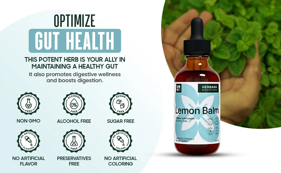 Lemon Balm Liquid Extract 2 fl oz - Melissa Officinalis Drops for Mood and Brain Support - Relaxing Herbal Supplement - High Potency Tincture - 45-Day Supply - Lemon Balm Liquid Extract Melissa Mood Brain Support antioxidant Natural Sleep Aid Relaxing