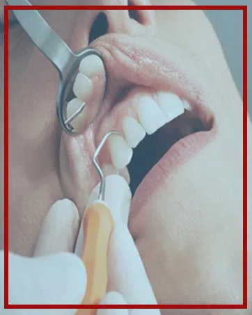 OdontoMed2011 THREE PRONG PLIERS ORTHODONTIC - product information 3