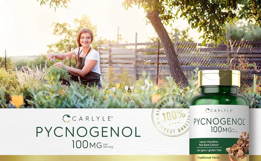 Carlyle Pycnogenol 100 mg | 30 Capsules | Non-GMO and Gluten Free Formula | French Maritime Pine Bark Extract Supplement - Pycnogenol